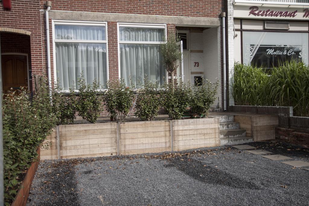 Savina City Centre Apartment Near Beach, Station And Shops Zandvoort Cameră foto